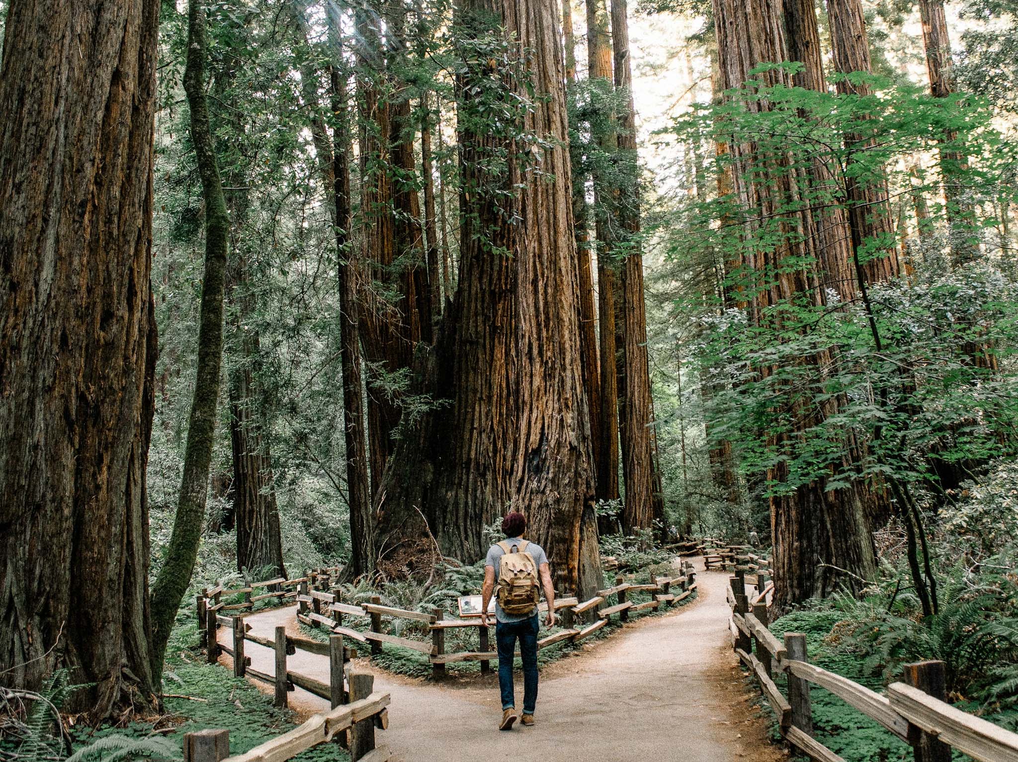 Kicking the One Onboarding Path to the Curb